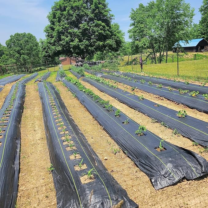 6ft x 300ft Durable Weed Barrier Fabric, 3.2oz Heavy-Duty Landscaping Fabric, Permeable Ground Cover for Garden, Lawn, and Outdoor Projects, Easy to Install, with 90 Staples