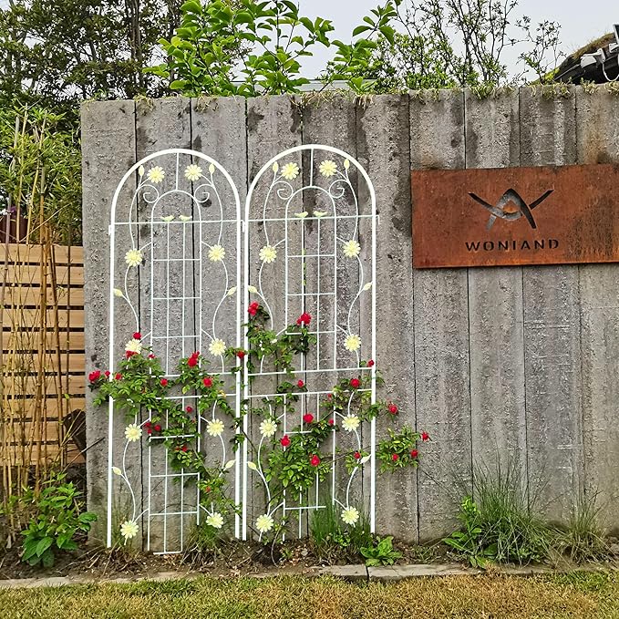 2 Pack Metal Garden Trellis for Climbing Plant Rose Stand, Cream White Outdoor 71'' Tall Flower Support Iron Garden Fence, (Cream White, 2pack)