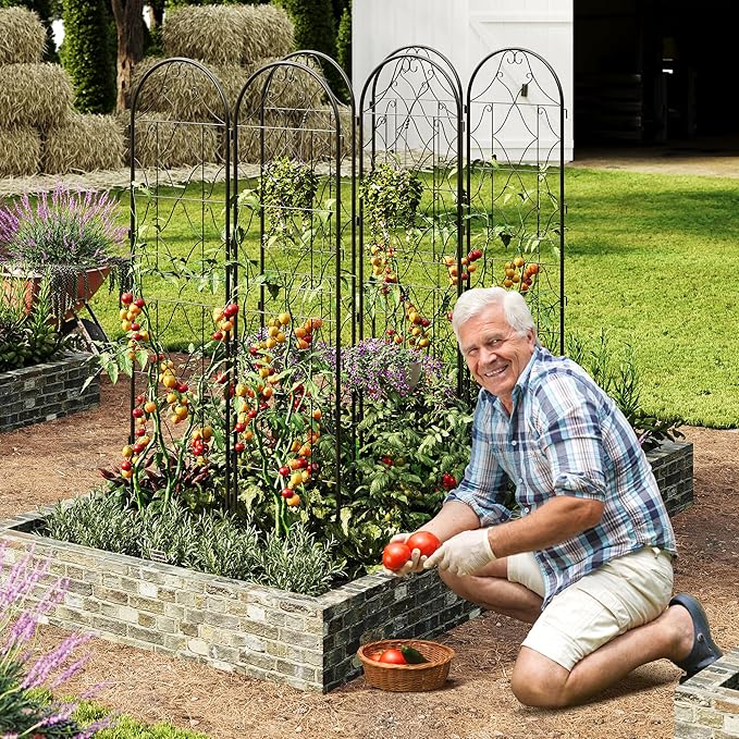 Garden Trellis 4 PCS - Tall 75 Inch x 21 Inch Metal Trellis for Climbing Plants & Vegetables | Rustproof Black Powder Coated Outdoor Plant Support | Patio Decor for Vines, Roses, Cucumbers, Tomatoes